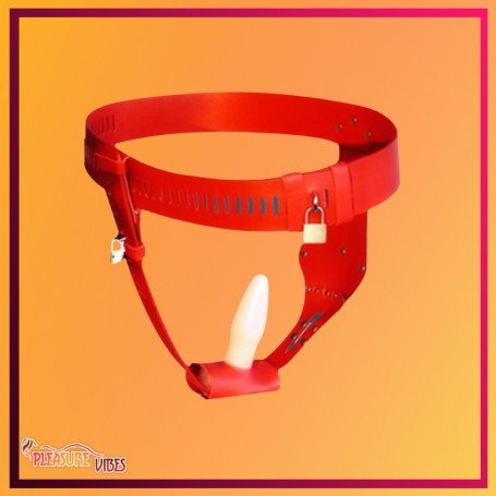 Chastity Lock Device for Women BDSM-002