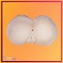Lusty Love Big Artificial Vagina BAV-022